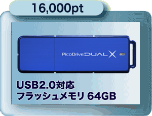 16,000pt USB 2.0Ή@tbV[64GB
