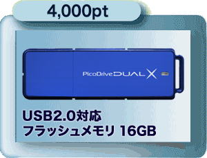 4,000pt USB 2.0Ή@tbV[16GB
